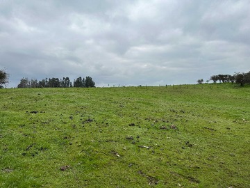 Venta / Terreno / Melipilla