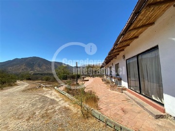 Imagen 10