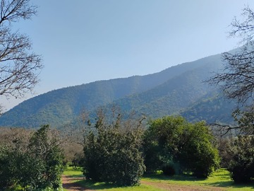Venta / Terreno / Melipilla