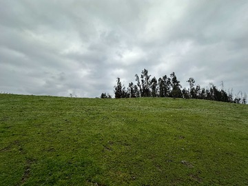 Imagen 13