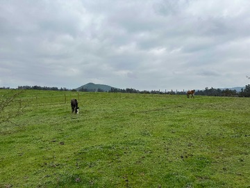 Venta / Terreno / Melipilla