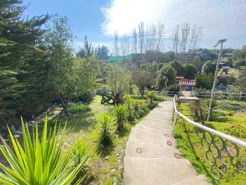 Imagen 22