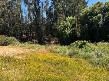 Venta / Terreno / Melipilla