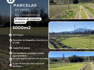 Venta / Terreno / Melipilla