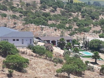 Imagen 5