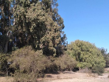 Imagen 11