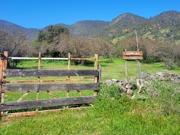Imagen 17