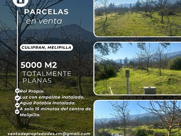 Venta / Terreno / Melipilla