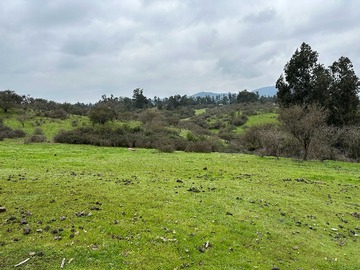 Venta / Terreno / Melipilla