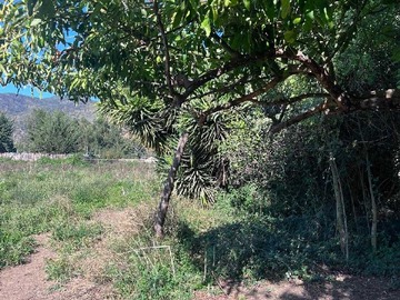 Imagen 6