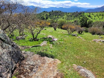 Venta / Terreno / Melipilla