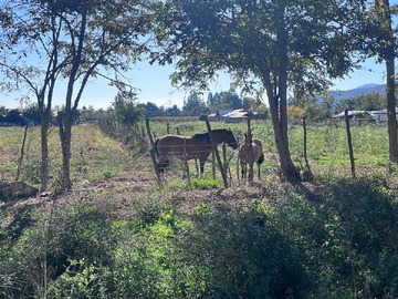 Venta / Terreno / Melipilla