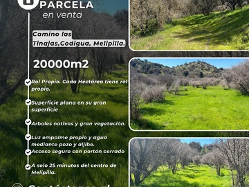 Venta / Terreno / Melipilla