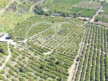 Venta / Terreno / Melipilla