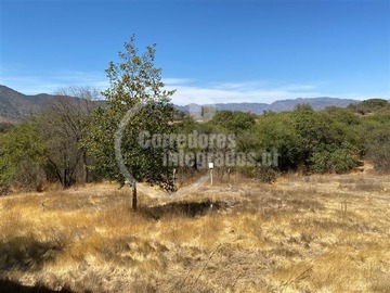 Imagen 36
