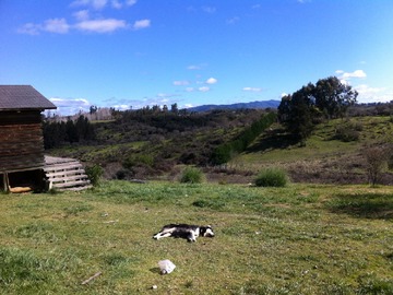 Venta / Terreno / Melipilla