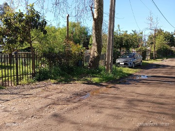 Imagen 13