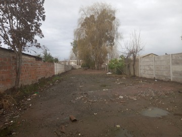 Imagen 3