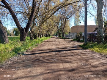 Imagen 19