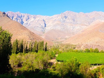 Venta / Terreno / Monte Patria