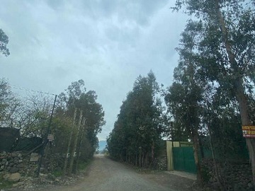 Venta / Terreno / Mostazal