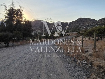 Imagen 11