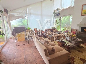 Imagen 8