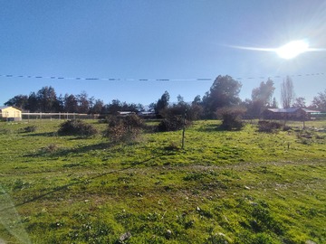 Venta / Terreno / Mostazal