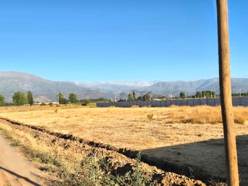 Venta / Terreno / Mostazal