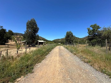 Venta / Terreno / Mostazal