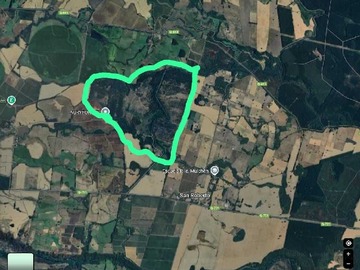 Venta / Terreno / Mulchén