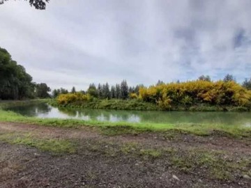 Venta / Terreno / Mulchén