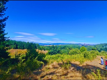 Venta / Terreno / Nacimiento