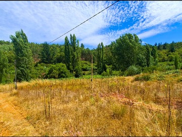 Venta / Terreno / Nacimiento