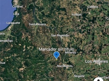 Imagen 11