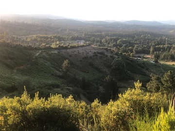 Venta / Terreno / Nacimiento