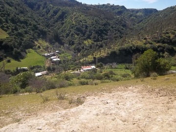 Imagen 7
