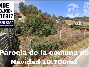 Venta / Terreno / Navidad