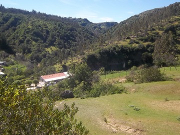 Imagen 9