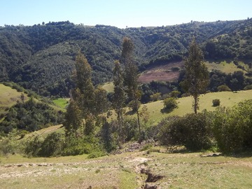 Venta / Terreno / Navidad