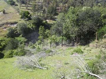 Venta / Terreno / Navidad