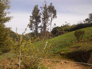 Imagen 10