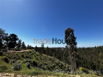 Venta / Terreno / Navidad