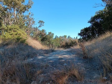 Venta / Terreno / Navidad