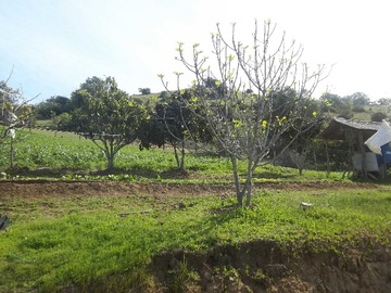 Imagen 11