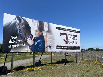 Venta / Terreno / Negrete