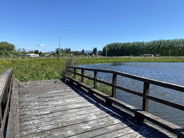 Venta / Terreno / Negrete