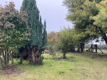 Venta / Terreno / Negrete