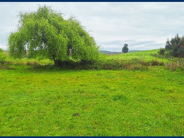 Venta / Terreno / Negrete