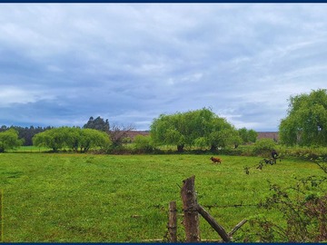 Imagen 6